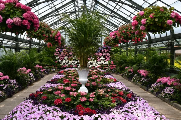 Niagara Falls May Tampilan Hydrangea Tahunan Floral Showhouse Air Terjun — Stok Foto