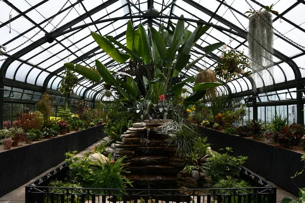 Niagara Falls Május Kaktusz Display Floral Showhouse Niagara Falls Ontario — Stock Fotó