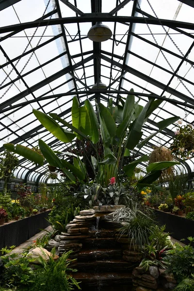 Niagara Falls Mei Cactus Display Bij Floral Showhouse Niagara Falls — Stockfoto