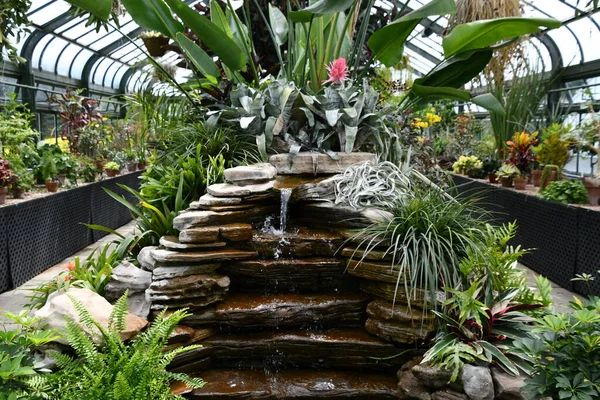 Niagara Falls May Cactus Display Floral Showhouse Niagara Falls Ontario — 图库照片