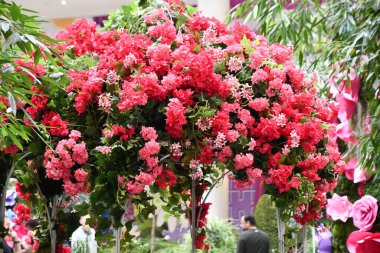 12 Mart 2022 'de Doğu Rutherford, New Jersey' deki Meadowlands Spor Kompleksi 'nde büyük bir perakende ve eğlence tesisi olan American Dream' deki gizli bahçe..