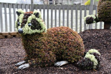 SEVIERVILLE TN - 13 Nisan 2022 'de görüldüğü üzere Sevierville, Tennessee' deki Dollywood Tema Parkı.