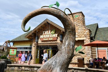 SEVIERVILLE TN - 13 Nisan 2022 'de görüldüğü üzere Sevierville, Tennessee' deki Dollywood Tema Parkı.