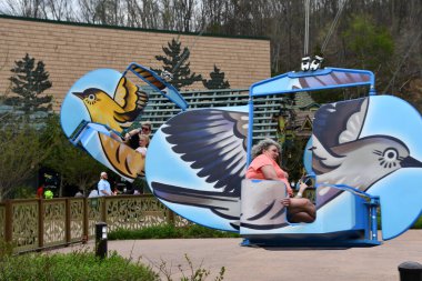 SEVIERVILLE TN - 13 Nisan 2022 'de görülen Sevierville, Tennessee' deki Dollywood Tema Parkı 'nda Çılgın Alaycı Kuş gezisi.