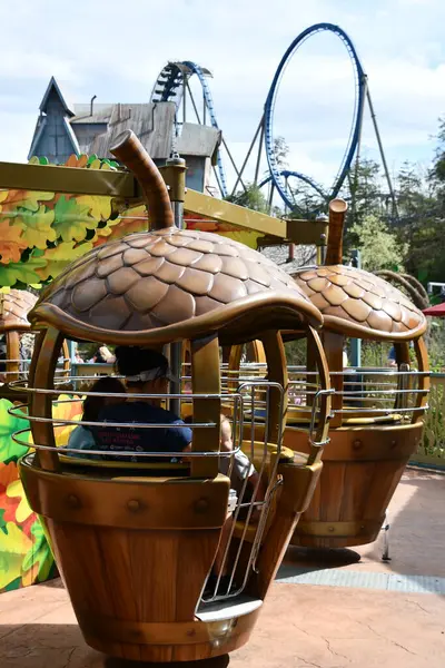 SEVIERVILLE TN - 13 Nisan 2022 'de Sevierville, Tennessee' deki Dollywood Tema Parkı 'ndaki Treetop Kulesi.