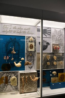 Silver Spring, Maryland 'deki Ulusal Sağlık ve Tıp Müzesi' nde sergi, 2..