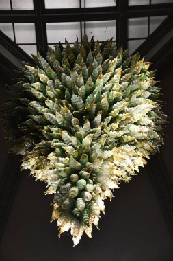 Washington DC 'deki Smithsonian Amerikan Sanat Müzesi' nden Renwick Galerisi, 3 Eylül 2023.