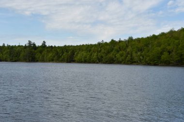 Franklin Falls Pond, New York 'un kuzeyinde.