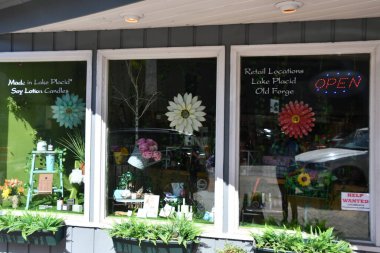 New York Gölü - 29 Mayıs 2021 'de New York, Placid Gölü civarında görüldü..