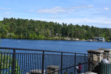 New York Gölü - 29 Mayıs 2021 'de New York, Placid Gölü civarında görüldü..