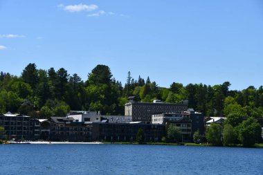 New York Gölü - 29 Mayıs 2021 'de New York, Placid Gölü civarında görüldü..