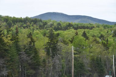 New York 'un kuzeyindeki Wilmington' da Manzaralı Yol