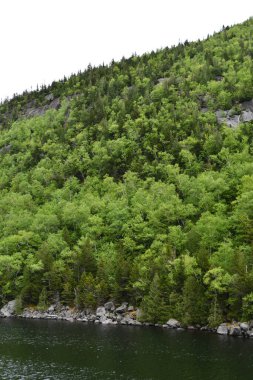 New York 'un kuzeyindeki Wilmington' da Manzaralı Yol