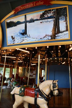 30 Mayıs 2022 'de Saranac Gölü, New York' taki William Morris Park 'ta görülen Adirondack Atlıkarınca.