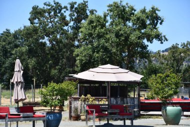 CALISTOGA CA - 11 AUG: Kaliforniya 'nın Calistoga, Kaliforniya' daki Eski Sadık Gayzerinin Toprakları, 11 Ağustos 2023 'te görüldüğü gibi.