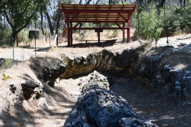 Calistoga, Kaliforniya 'daki Taşlaşmış Orman