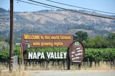 NAPA CA - 11 Ağustos 2023 'te görüldüğü üzere California' daki Napa Vadisi 'nden geçeceğiz..