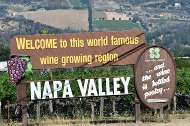 NAPA CA - 11 Ağustos 2023 'te görüldüğü üzere California' daki Napa Vadisi 'nden geçeceğiz..