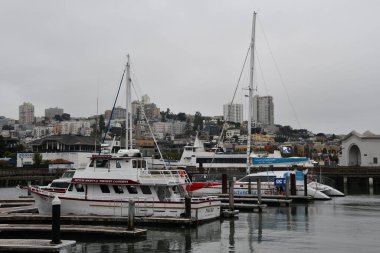 SAN FRANCISCO, CA - 11 Ağustos 2023 'te görüldüğü üzere San Francisco, Kaliforniya' daki Fishermans Rıhtımı 'nda 39..