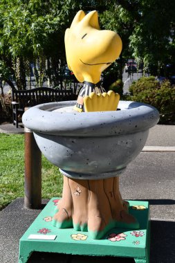 Santa Rosa ROSA CA - 11 Ağustos 2023 'te Santa Rosa, Kaliforniya' daki Charles M Schulz Müzesi ve Araştırma Merkezi 'nde görüldü..