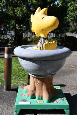 Santa Rosa ROSA CA - 11 Ağustos 2023 'te Santa Rosa, Kaliforniya' daki Charles M Schulz Müzesi ve Araştırma Merkezi 'nde görüldü..