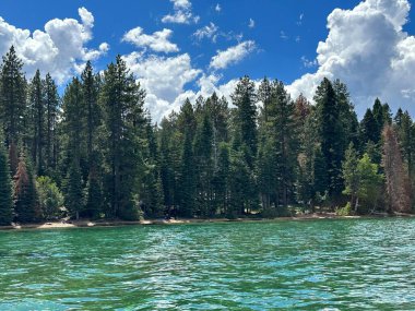 Güney Tahoe, Kaliforniya 'daki Emerald Körfezi manzarası
