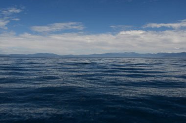 Kaliforniya 'daki Güney Tahoe Gölü manzarası
