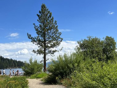 Güney Gölü TAHOE CA - 17 Ağustos 2023 'te Kaliforniya' daki Tahoe Gölü 'nün güneyindeki Emerald Körfezi' nde tekne gezisi.