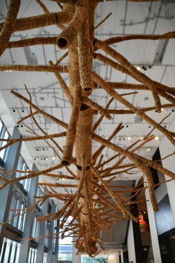 SEATTLE WA - 20 AUG Washington Eyaleti Seattle Sanat Müzesinde sergi, 20 Ağustos 2023.