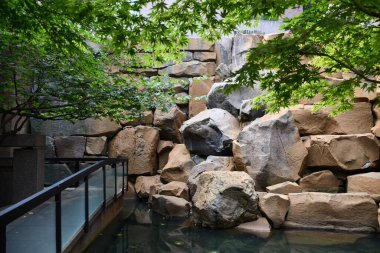 SEATTLE, WA - 20 Ağustos 2023 'te Seattle, Washington' da Waterfall Garden Park (UPS 'un doğduğu yer).