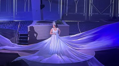 SEATTLE, WA - AUG 21: Starwater show aboard the Royal Caribbean Quantum of the Seas cruise ship sailed from Seattle, Washington, as seen on Aug 21, 2023.