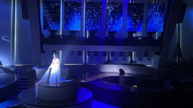 SEATTLE, WA - 21 AUG: 21 Ağustos 2019 'da görüldüğü gibi Seattle, Washington' dan denize açılmış olan Royal Caribbean yolcu gemisindeki Starwater şovu.