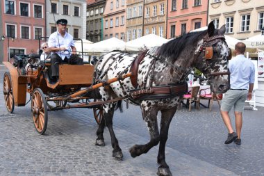 WARsaw, POLAND - 11 Ağustos 2019 'da Polonya' nın Varşova kentindeki At Arabası Turu 'nda görüldüğü gibi.