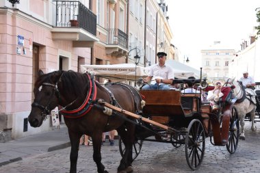 WARsaw, POLAND - 11 Ağustos 2019 'da Polonya' nın Varşova kentindeki At Arabası Turu 'nda görüldüğü gibi.