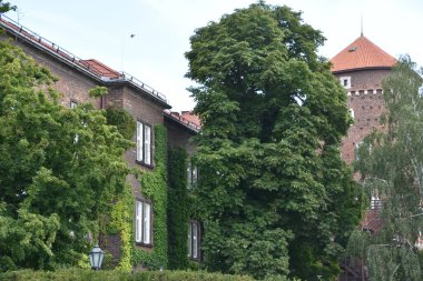 KRAKOW, POLAND - 13 AUG: 13 Ağustos 2019 'da Polonya' nın Krakow şehrinde görüldüğü gibi.