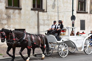 KRAKOW, POLAND - 12 AUG: 12 Ağustos 2019 'da Polonya' nın Krakow kentindeki At Arabası Turu.