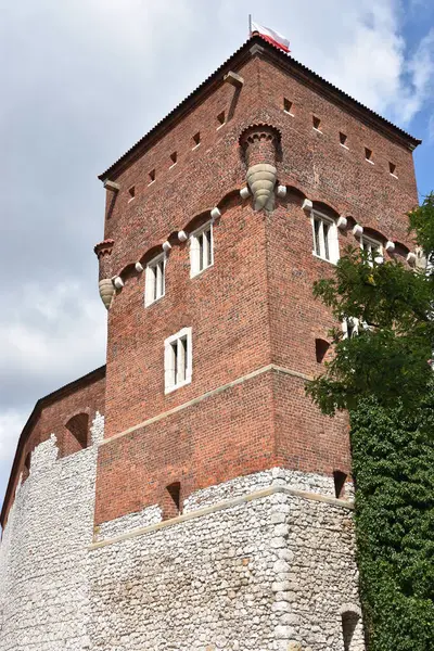 KRAKOW, POLAND - 13 Ağustos 2019 'da Polonya' nın Krakow kentindeki Wawel Kalesi.