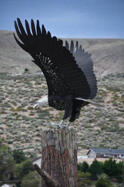 CARSON CITY, NEVADA - 16 AUG: Kartal heykeli 16 Ağustos 2023 'te Carson City, Nevada' da görüldü..