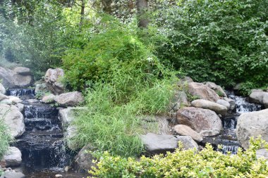 RENO NV - 16 AUG: Wilbur D May Arboretum & Botanik Bahçesi Reno, Nevada 'daki Rancho San Rafael Bölgesel Parkı, 16 Ağustos 2023.