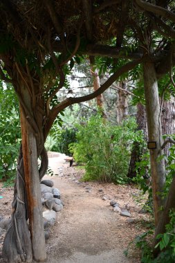 RENO NV - 16 AUG: Wilbur D May Arboretum & Botanik Bahçesi Reno, Nevada 'daki Rancho San Rafael Bölgesel Parkı, 16 Ağustos 2023.