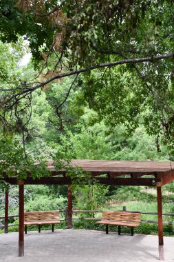 RENO NV - 16 AUG: Wilbur D May Arboretum & Botanik Bahçesi Reno, Nevada 'daki Rancho San Rafael Bölgesel Parkı, 16 Ağustos 2023.