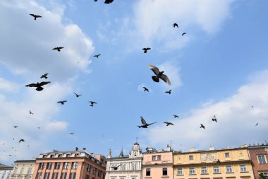 KRAKOW, POLAND - 12 Ağustos 2019 'da Polonya' nın Krakow şehrinde görüldüğü gibi.