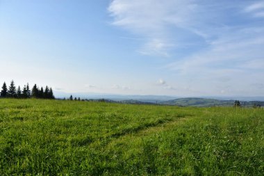 Zakopane, Polonya 'da Gubalowka' nın tepesinde.