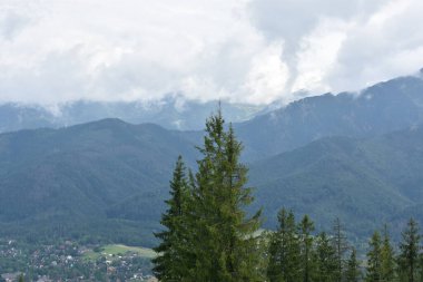 Polonya 'da Zakopane çevresindeki dağların manzarası