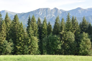 Polonya 'da Zakopane çevresindeki dağların manzarası