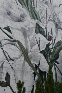 RENO, NEVADA - 14 AUG: Reno, Nevada 'da şehir çevresinde, 14 Ağustos 2023.