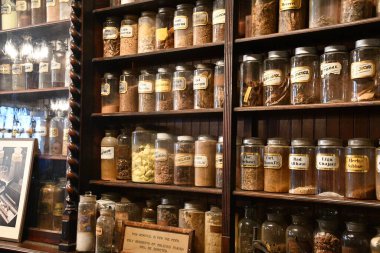 New Orleans, Los Angeles 22 Kasım 2023 'te Louisiana' daki New Orleans Eczane Müzesi 'nde görüldü..