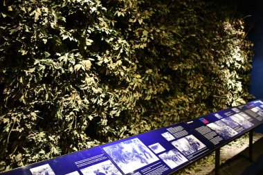 NEW ORLEANS, LA - 22 Kasım 2023 'te New Orleans, Louisiana' daki Ulusal 2..