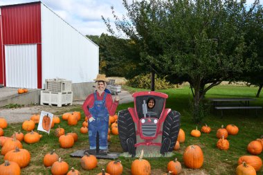 15 Ekim 2023 'te Pomfret, Connecticut' ta Buells Meyve Bahçesi 'nde görüldüğü gibi..