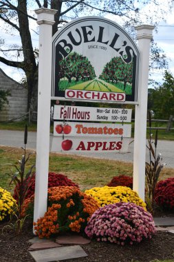 Eastford, Connecticut 'ta Buells Orchard, 15 Ekim 2023' te görüldüğü gibi..